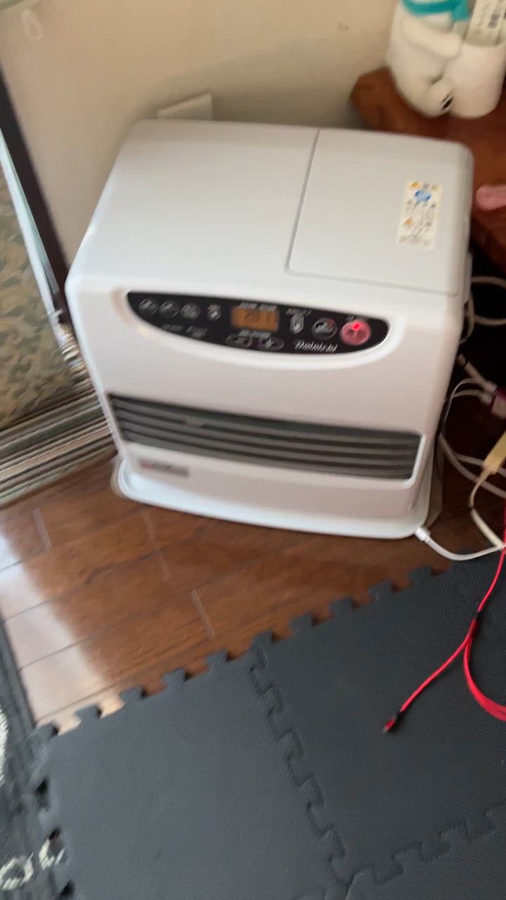 ダイニチ（Dainichi） FW-5625L-W 石油ファンヒーター 9L 大容量タンク