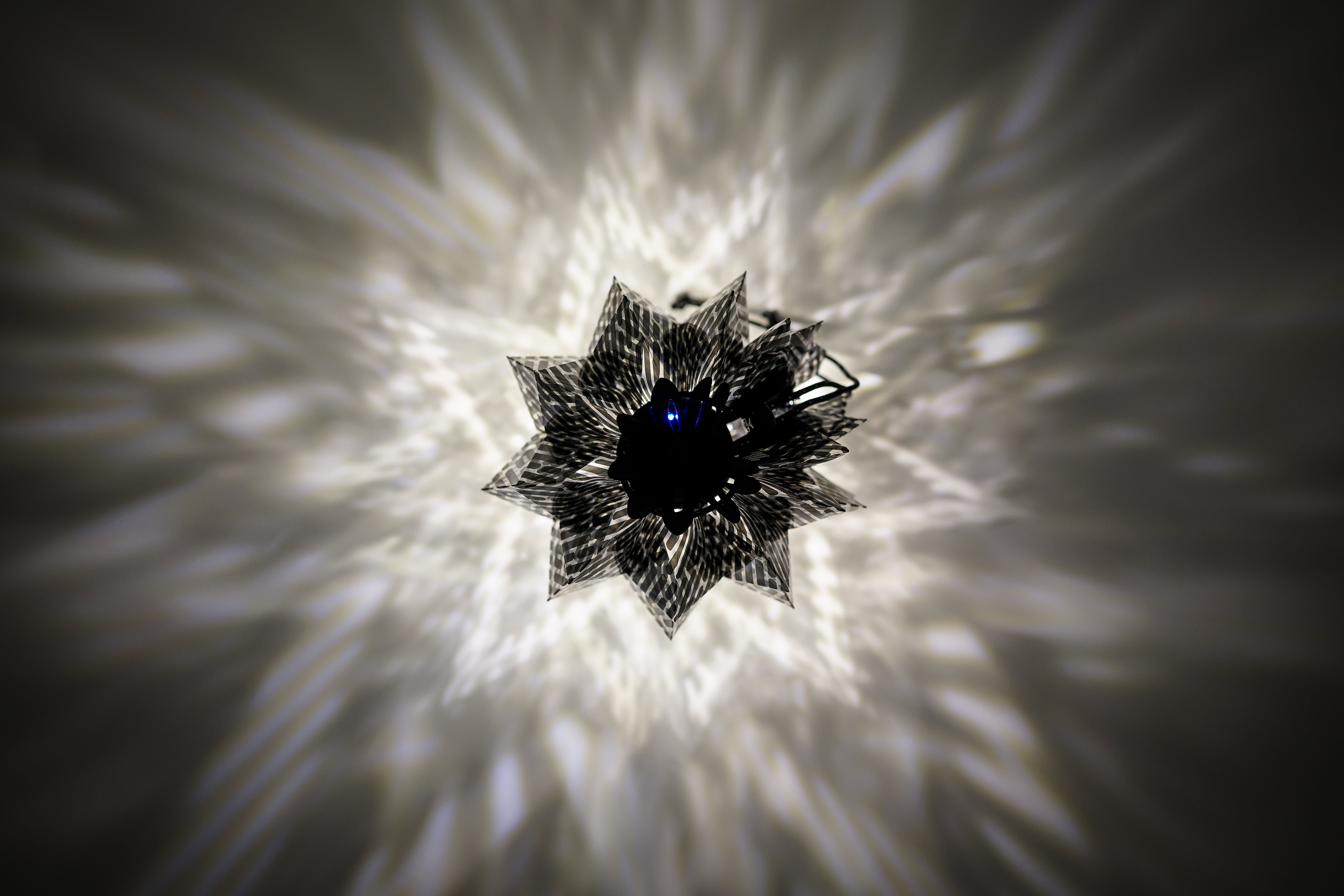 solol - black | solworks