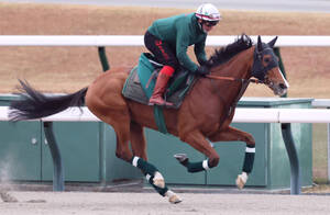 ジャパンC】欧州最強馬カランダガン陣営が大仕事へ自信大 「ドバイの