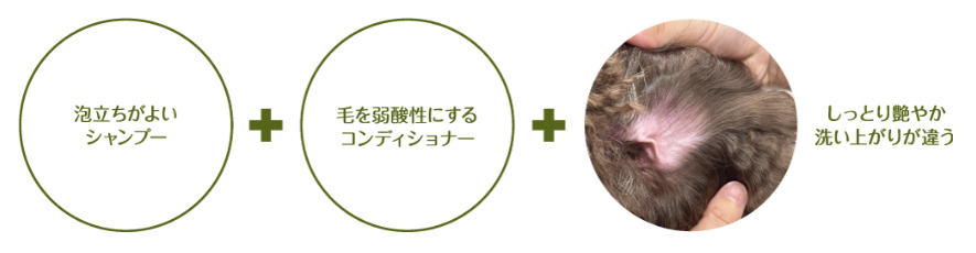 ビューティーエコ トライアルセット 30ml×2包: 100｜業務用トリミング