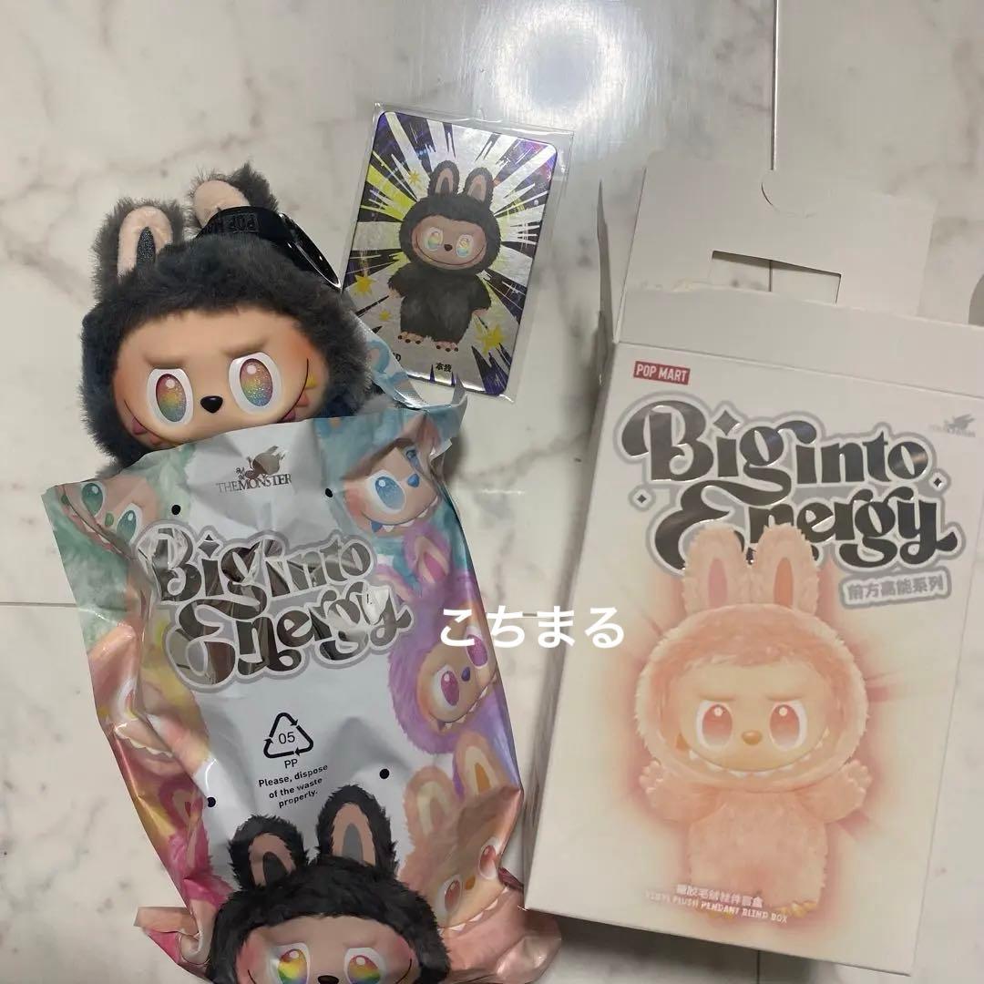 ポップマート ラブブ ビッグイントゥエナジー アイディ (シークレット